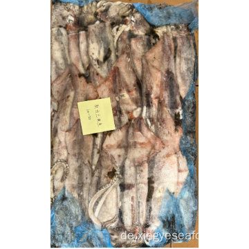 Gefrorener Pfeil-Squid 100-200G